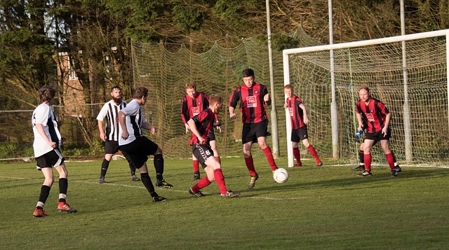 主优化词-湖北队力挫强敌赢得信心